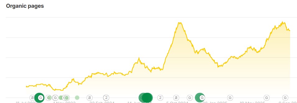 Use Case: Post-Migration SEO Recovery & Multilingual Growth