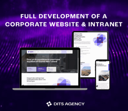 Full website development use case