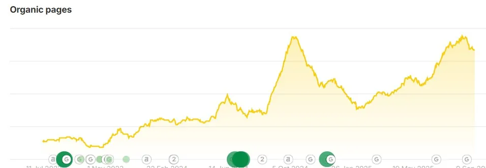 Post-Migration SEO Recovery & Multilingual Growth